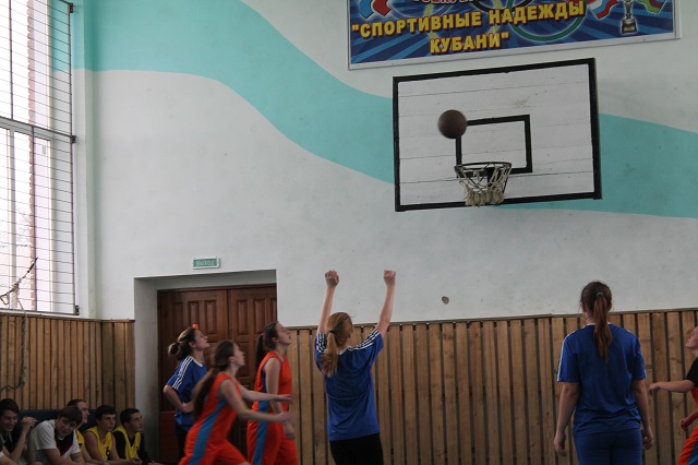 IMG 1558